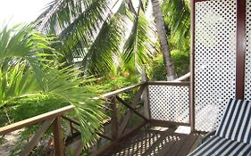 Dolphin Inn Guesthouse & Apartments